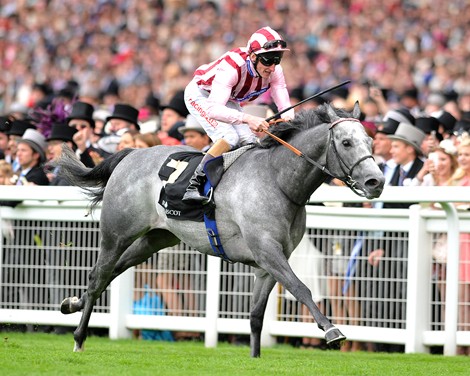 Lethal Force, Adam Kirby up, wins the Diamond Jubilee Stakes June 22, 2013.